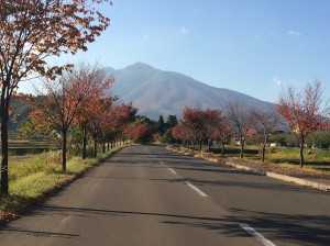 鯵ヶ沢街道から岩木山に向かう道