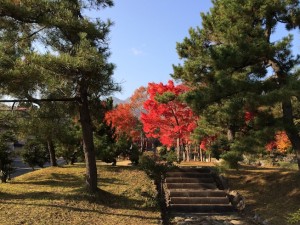 岩木山神社近くの紅葉