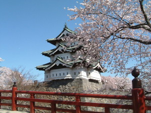 朝8時50分の弘前城と桜